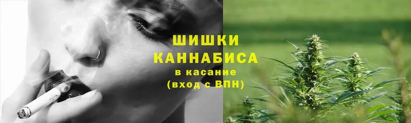 наркотики  Беломорск  Шишки марихуана гибрид 